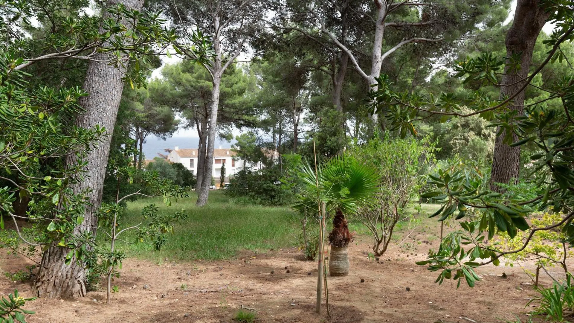 Ca La Irene I Villa Begur Holiday home